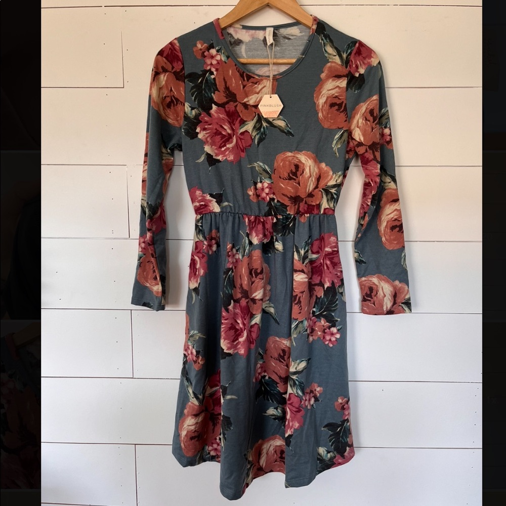 NWT PINKBLUSH maternity dress